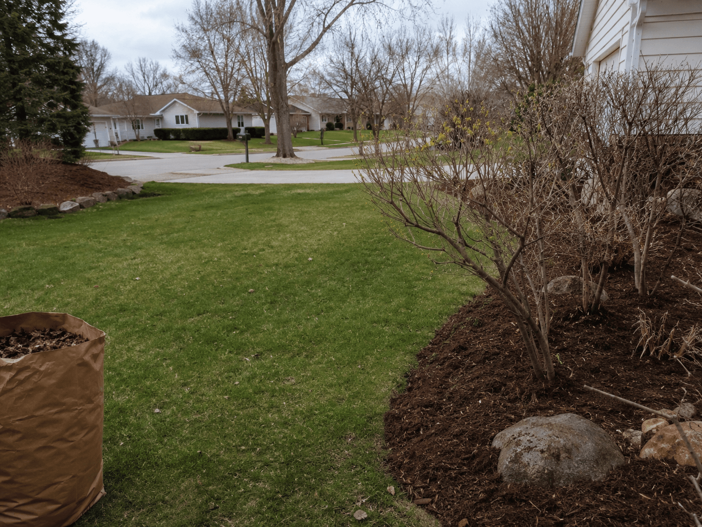 Spring cleanup of a Wisconsin front yard